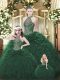 Sophisticated Halter Top Sleeveless Lace Up 15th Birthday Dress Dark Green Organza