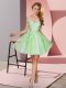 Apple Green A-line Appliques Dama Dress Zipper Tulle Sleeveless Mini Length