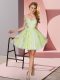 Yellow Green Sleeveless Tulle Zipper Quinceanera Court Dresses for Prom and Party and Wedding Party