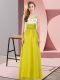 Olive Green Sleeveless Appliques Floor Length Damas Dress