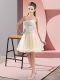 Champagne A-line Beading Prom Evening Gown Zipper Tulle Sleeveless Mini Length