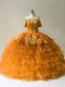 Clearance Floor Length Ball Gowns Sleeveless Gold Sweet 16 Dress Lace Up