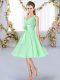 Sleeveless Hand Made Flower Lace Up Dama Dress for Quinceanera