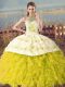 Organza Sleeveless Sweet 16 Quinceanera Dress Court Train and Embroidery and Ruffles