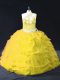 Gold Backless Halter Top Appliques and Pick Ups 15 Quinceanera Dress Organza Sleeveless