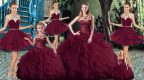 Custom Made Scoop Sleeveless Brush Train Lace Up 15 Quinceanera Dress Burgundy Tulle