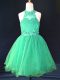 Green Organza Lace Up Halter Top Sleeveless Mini Length Kids Formal Wear Beading and Lace