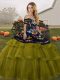 Olive Green Ball Gowns Tulle Off The Shoulder Sleeveless Embroidery and Ruffled Layers Lace Up Sweet 16 Dresses Brush Train