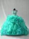 Luxurious Organza Sleeveless Floor Length Quinceanera Gown and Beading and Ruffles