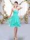Fantastic Turquoise Sleeveless Knee Length Ruffles and Ruching Lace Up Court Dresses for Sweet 16