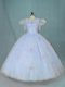 Light Blue Ball Gowns Organza V-neck Short Sleeves Beading Floor Length Zipper Sweet 16 Quinceanera Dress