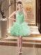 Romantic Apple Green Sleeveless Tulle Lace Up Prom Dresses for Prom and Party