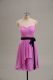 Exceptional Lilac Zipper Evening Dress Ruching Sleeveless Knee Length