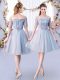 Popular Grey Tulle Lace Up Court Dresses for Sweet 16 Short Sleeves Knee Length Lace and Belt