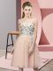Peach Tulle Lace Up Sweetheart Sleeveless Knee Length Quinceanera Court Dresses Appliques