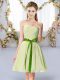 Delicate Chiffon Sleeveless Mini Length Quinceanera Dama Dress and Belt