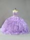 Low Price Ball Gowns Sleeveless Lavender 15 Quinceanera Dress Brush Train Lace Up