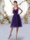 Hot Selling Sleeveless Zipper Knee Length Appliques Quinceanera Court Dresses