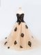 Peach Lace Up Spaghetti Straps Appliques Little Girl Pageant Gowns Tulle Sleeveless Brush Train