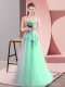 Sexy Floor Length Apple Green Prom Evening Gown Tulle Sleeveless Appliques