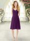 Most Popular Sleeveless Ruching Zipper Prom Party Dress