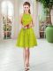 Captivating Sleeveless Lace Zipper Prom Gown  Captivating Sleeveless Lace Zipper Prom Gown