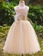 Champagne A-line Tulle Straps Sleeveless Lace Floor Length Lace Up Flower Girl Dress
