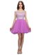 Lilac Cap Sleeves Organza Zipper Homecoming Dress for Prom and Party