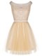 Champagne Tulle Zipper Sleeveless Mini Length Lace