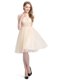 Perfect A-line Champagne Bateau Tulle Sleeveless Knee Length Clasp Handle