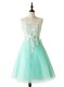 Scoop Sleeveless Zipper Prom Dresses Apple Green Organza