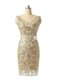Dynamic V-neck Sleeveless Zipper Prom Dresses Champagne Lace