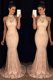Smart Mermaid Baby Pink Halter Top Neckline Lace Dress for Prom Sleeveless Backless