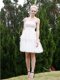 Graceful Sleeveless Zipper Knee Length Lace Dress for Prom