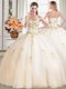 Colorful Sweetheart Sleeveless 15 Quinceanera Dress Floor Length Beading Champagne Tulle