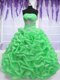 Glamorous Organza Lace Up Quinceanera Gown Sleeveless Floor Length Beading
