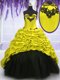 Multi-color Sleeveless With Train Appliques and Pick Ups Lace Up 15 Quinceanera Dress