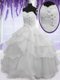 Colorful Ruffled Ball Gowns 15th Birthday Dress Silver Sweetheart Organza Sleeveless Floor Length Lace Up