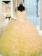 Gold Zipper Sweetheart Beading and Ruffles Sweet 16 Dress Organza Sleeveless