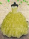 Sleeveless Lace Up Floor Length Beading and Appliques and Ruffles and Ruching Quinceanera Dresses