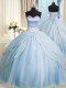 Organza Sleeveless With Train Sweet 16 Dress Court Train and Beading and Appliques