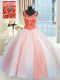 Multi-color Ball Gowns V-neck Sleeveless Tulle Floor Length Lace Up Beading and Sequins Vestidos de Quinceanera