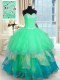 Flare Sweetheart Sleeveless Lace Up Quinceanera Dresses Multi-color Organza