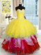 Cheap Ball Gowns Ball Gown Prom Dress Multi-color Sweetheart Organza Sleeveless Floor Length Lace Up