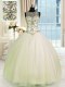 Ball Gowns Quinceanera Gown Champagne Scoop Tulle Sleeveless Floor Length Lace Up