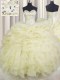 Wonderful Sweetheart Sleeveless Organza Quinceanera Gowns Beading and Ruffles Lace Up