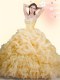 Sleeveless Brush Train Beading and Ruffles and Pick Ups Lace Up Quinceanera Dress