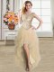Scoop Champagne Sleeveless Tulle Lace Up Prom Gown for Prom and Party