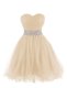 Nice Champagne Sleeveless Organza Lace Up Prom Party Dress for Prom and Party