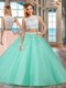 Top Selling Apple Green Two Pieces Bateau Sleeveless Tulle Floor Length Side Zipper Beading and Appliques Quinceanera Gowns